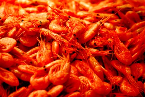 Garnelen aus Göteborg